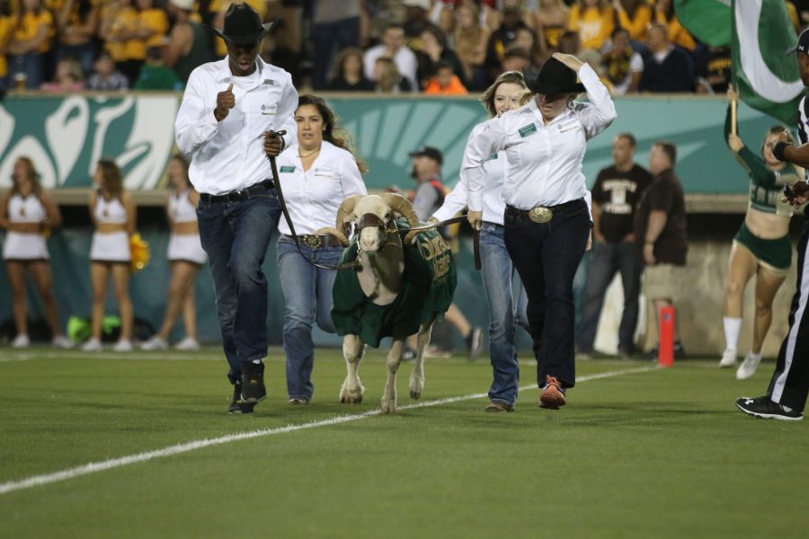Cam the Ram and his handlers run across the field celebrating a CSU Touchdown against the Wyoming Cowboys. (Elliott Jerge | Collegian)