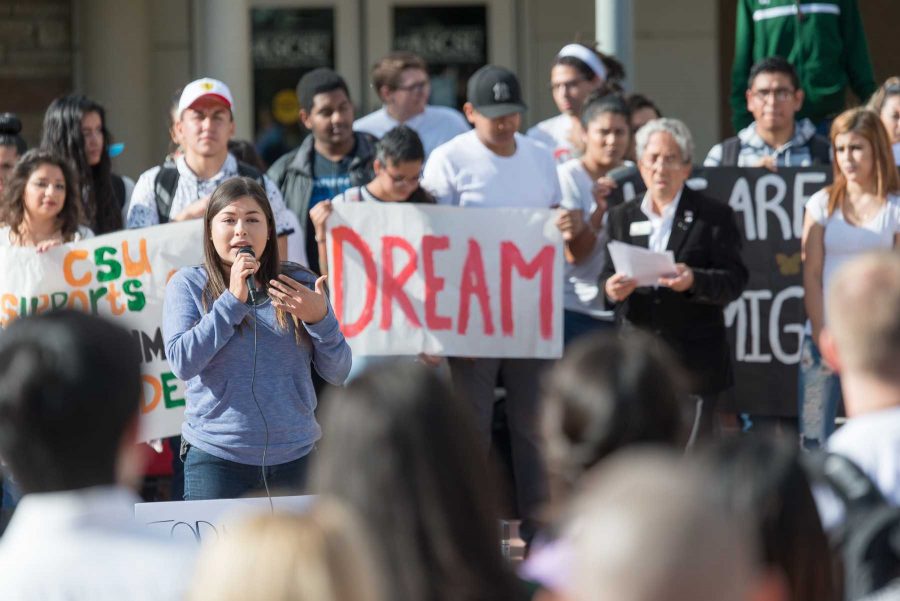 Colorado State University student body president Daniela Pineda Soraca speaks in support of DACA at the Lory Student Center Plaza on Nov 14, 2016. (Luke Walker | Collegian)