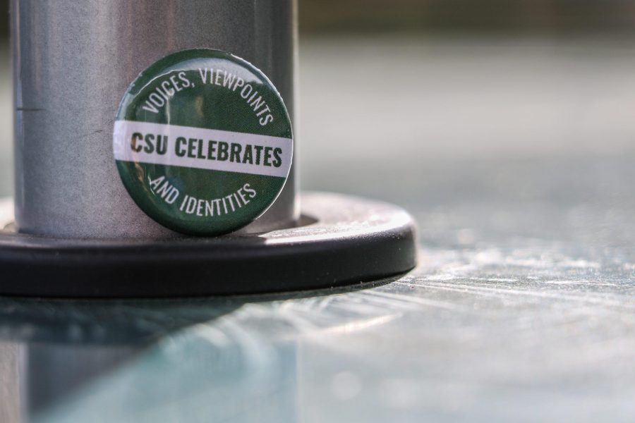 CSU celebrates Voices, Viewpoints And Identities, the pin reads.  This was embodied by the Brown Bag discussion held at the LSC for students and faculty to discuss in small groups about their feelings post election. (Ksen Schamaun| Collegian)