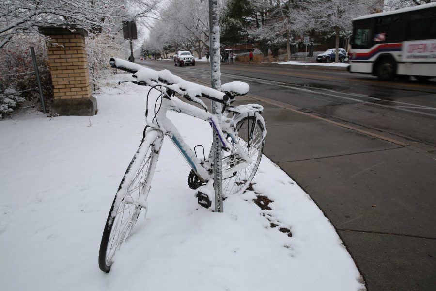 A bicycle locked to a street sign is covered in snow on Thursday afternoon along Meridian Avenue. Several inches of snow fell on Thursday afternoon, and temperatures are predicted to stay in the low 40s for Friday. (Forrest Czarnecki | Collegian)