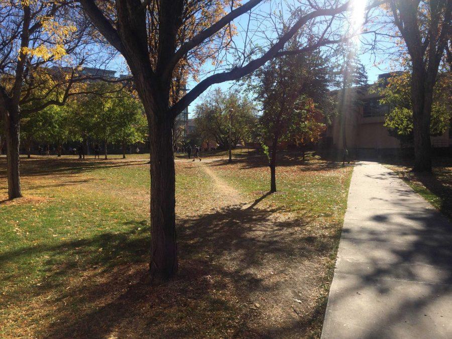 An improvised bike path can be found north of the Education building. Photo credit: Matthew Smith