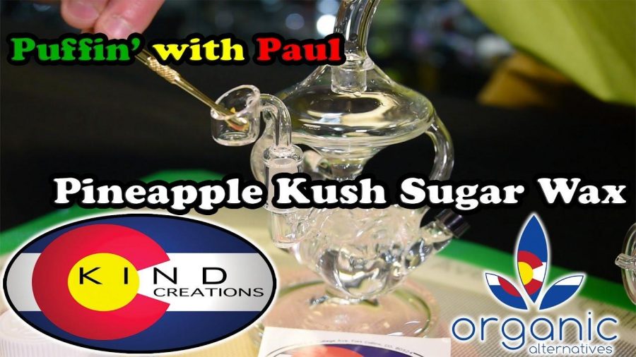 Puffin with Paul: Pineapple Kush Sugar Wax