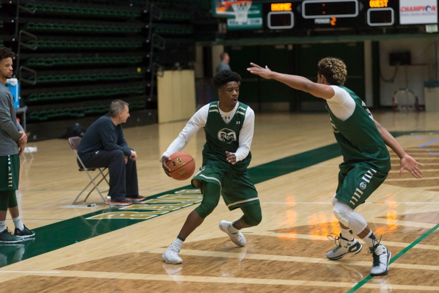 Newcomers ready to contribute for men's basketball