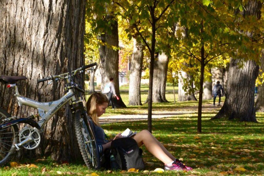 A comprehensive guide to relieving stress during finals week