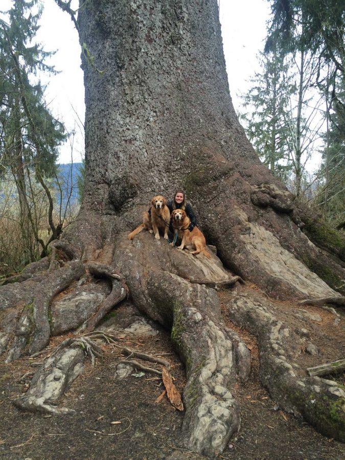 My dogs and I at the base of the Old Growth Sitka Spruce. Photo credit: Lindsay Wienkers