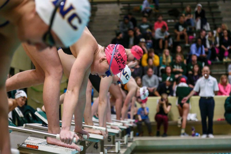 CSU women's swim and dive team lines up against UNC, February 1, 2017 (Davis Bonner | Collegian)