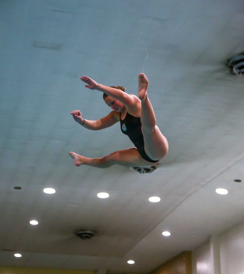 CSU's Emily Williams competes against UNC in diving during their meet on February 1, 2017 (Davis Bonner | Collegian)