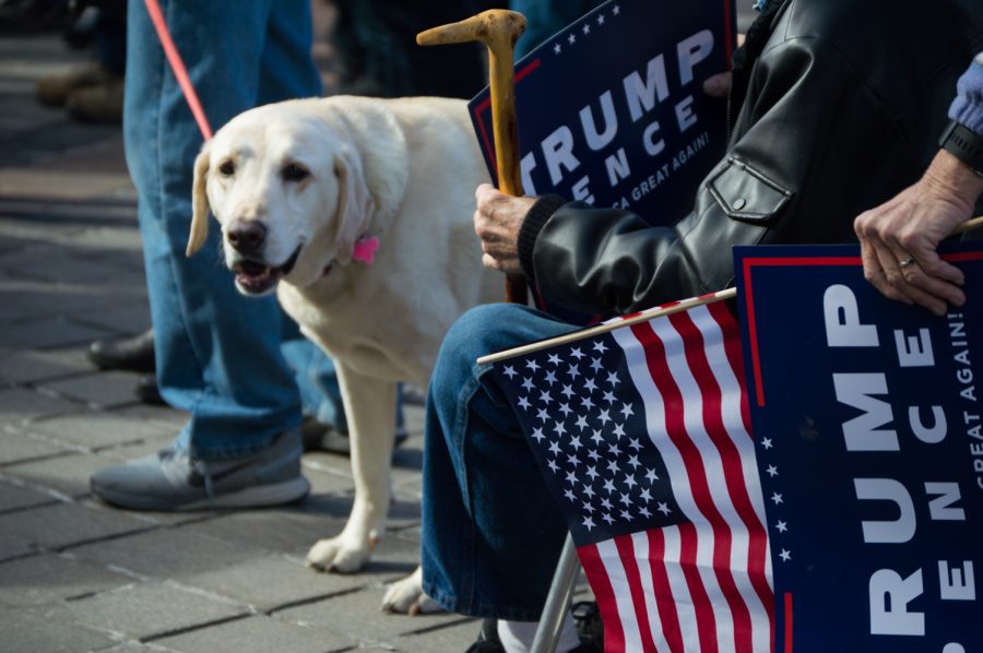Even the pets came out to support Trump at the rally in Denver on Saturday. Photo by Kaitlyn Ancell | Collegian
