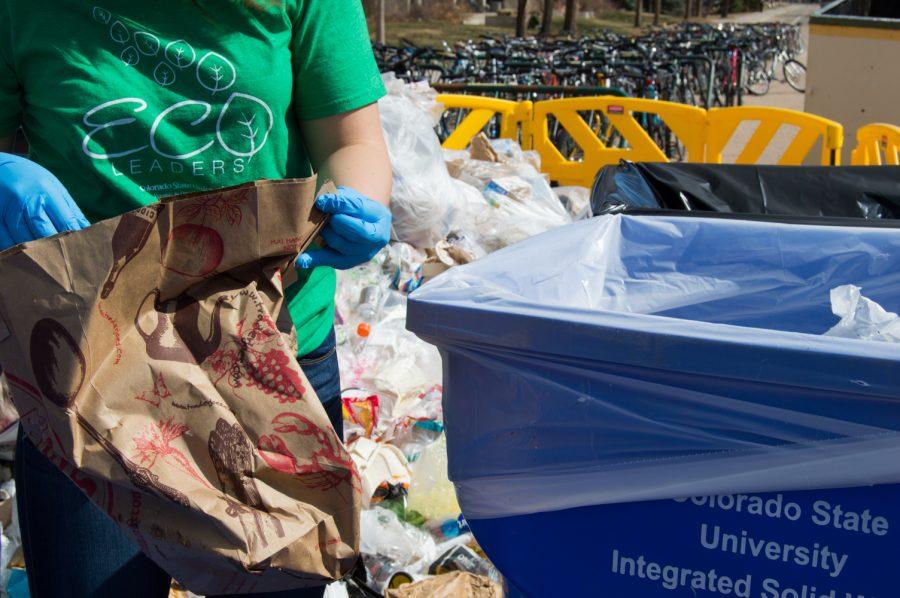 Olivia Bruce, a member of the Eco Leaders Organization, helps sort through trash and recycleables at the Food Waste Audit on the plaza Wednesday morning. Photo by Kaitlyn Ancell | Collegian