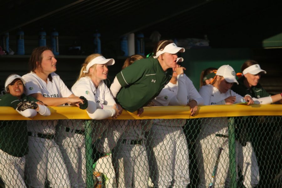 The Colorado State University softball team cheers from the dugout during a game against Penn State on Friday, March 3rd at Colorado State University. CSU beat Penn State 4-0. (Forrest Czarnecki | Collegian)