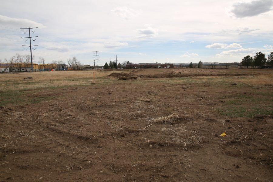 Plots of land near Lemay Avenue and Buckingham Street are devoid of prairie dogs, with only empty borrows remaining. The prairie dogs on the plots of land were euthanized in order for construction to begin on a new business development. (Forrest Czarnecki | Collegian)