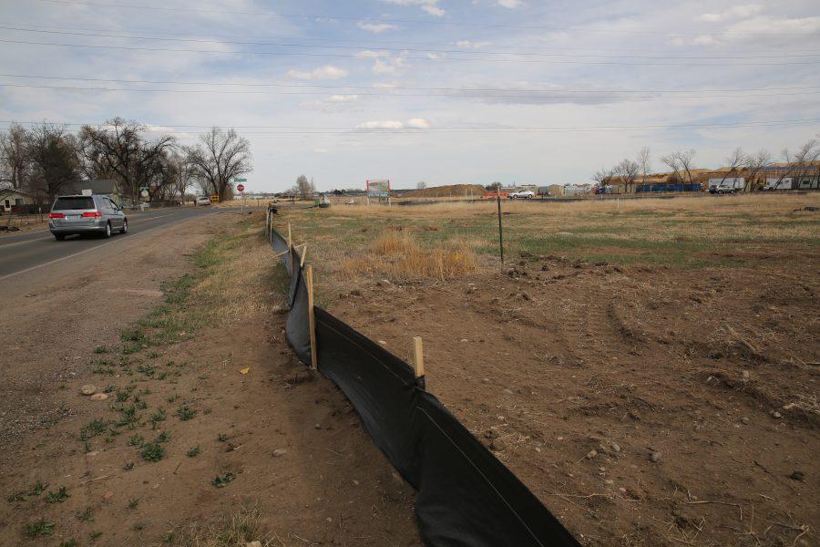 Plots of land near Lemay Avenue and Buckingham Street are devoid of prairie dogs, with only empty borrows remaining. The prairie dogs on the plots of land were euthanized in order for construction to begin on a new business development. (Forrest Czarnecki | Collegian)