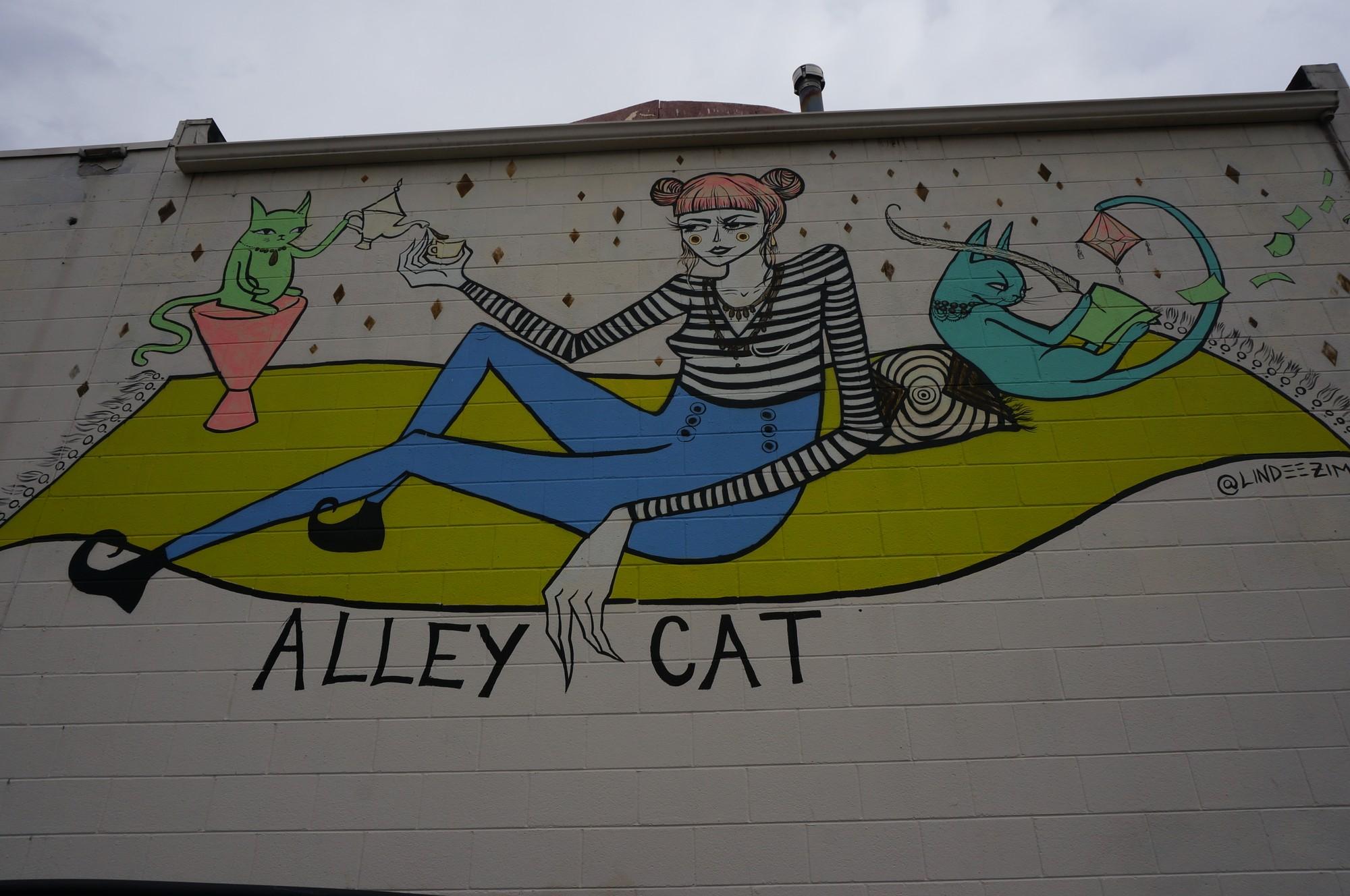 The Alley Cat Cafe  Place to Study The Rocky Mountain 