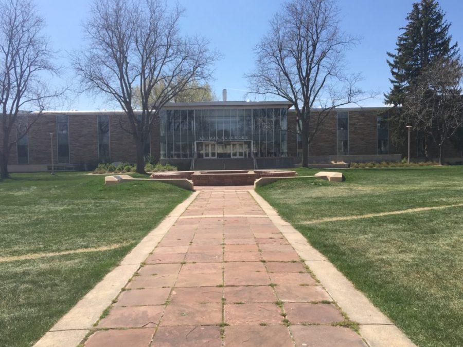The Monfort Quad in front of the Animal Sciences building is rumored to be the building site for the JBS Global Food Innovation Center. (Sarah Ehrlich | Collegian)