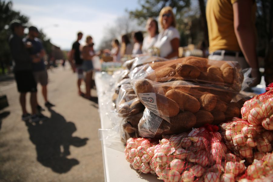 Assorted types of food line the tables at an event put on by SLiCE and the Larimer County Food Bank on Thursday afternoon in front of the Sherwood Forest. The event was put on to help fight food insecurity at Colorado State University. (Forrest Czarnecki | Collegian)