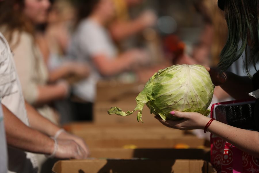 People grab a head of lettuce at an event organized by SLiCE and the Larimer County Food Bank on Thursday afternoon in front of the Sherwood Forest. The event was put on to help fight food insecurity at Colorado State University. (Forrest Czarnecki | Collegian)