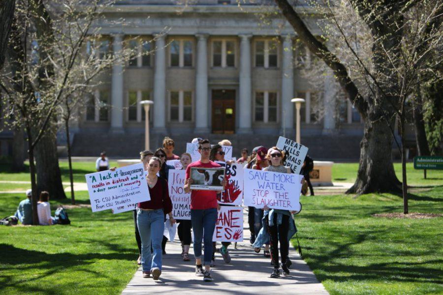(From left to right) Dominique Ashe, Austin Joseph and Abigail Bearce lead a group of protesters against the construction of a slaughter house on campus as they march towards the Plaza. (Davis Bonner | Collegian)