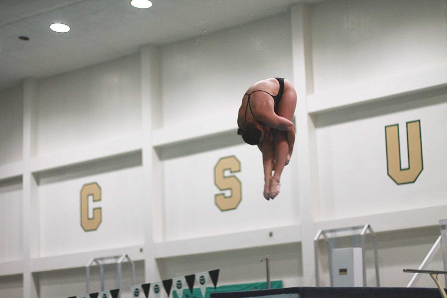 The CSU Swim and Dive team finished their season with a 3-4 record and defeating the University of Northern Colorado in February. (Natalie Dyer | Collegian)