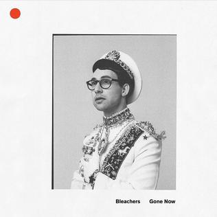 Bleachers-gone-now-cover.jpg