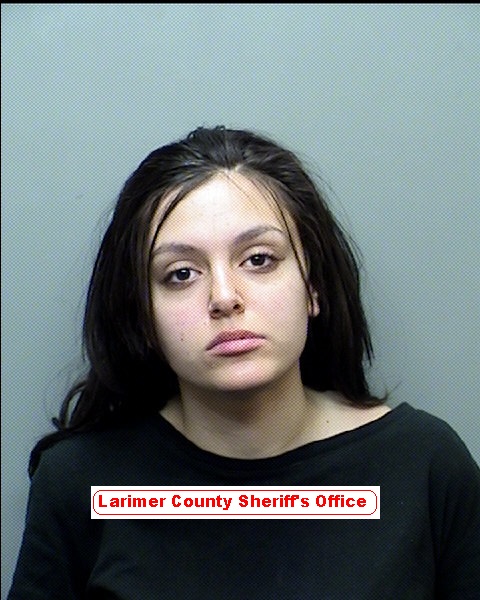 Nineteen-year-old inmate Kayla Perez attacked two deputies during her scheduled court appearance on July 13. (Photo courtesy of Larimer County Sheriff's Office)