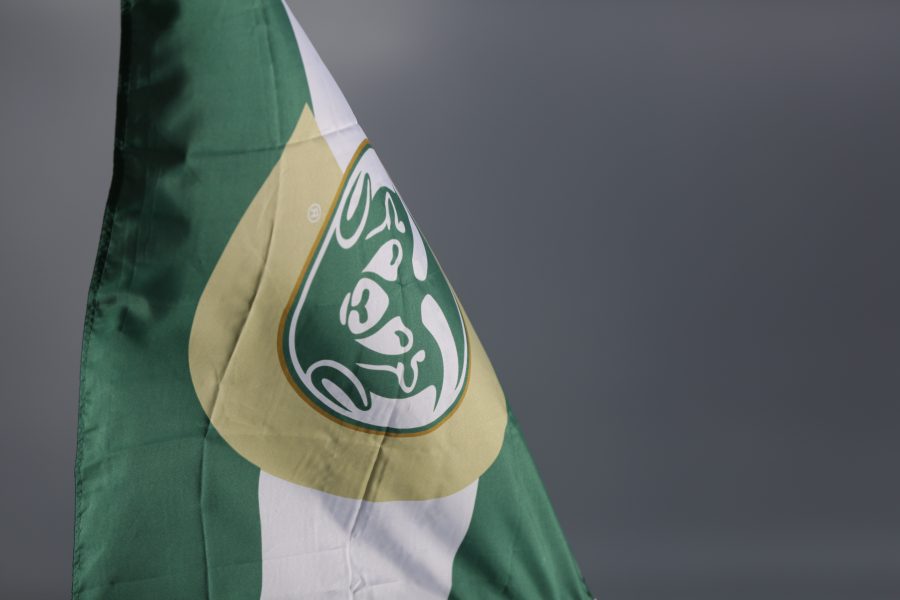 Colorado State University themed flags fly above tailgating cars and trucks before the start of Colorado State University's first football game of the 2017 season on Saturday, August 26th. Forrest Czarnecki | The Collegian