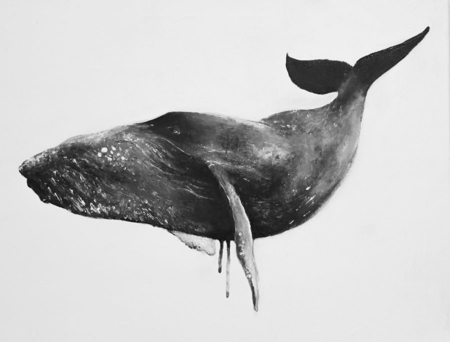 This black and white painting of a whale is one of Cordells favorite creations. (Photo courtesy of Kaylee Cordell)