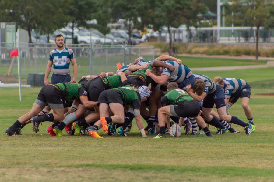 Colorado State offensive scrum battles for possession of the ball during the end of the first half , Saturday, Sep. 23, 2017 in the IM Fields at CSU. The team attempted to add on to their 15-5 lead. Tyler Morales | Collegian