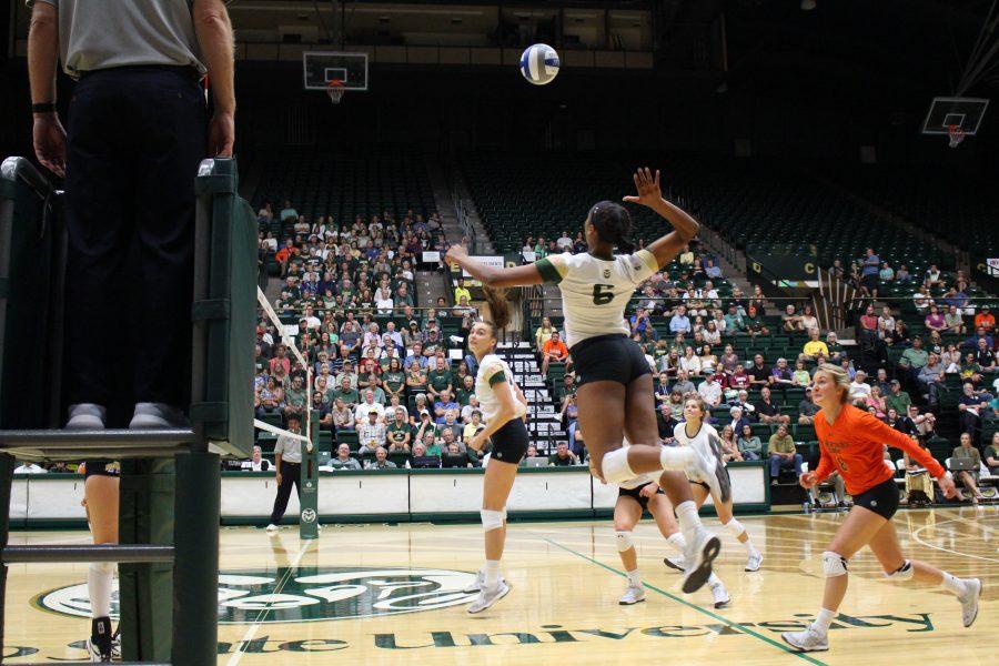 Senior, Jasmine Hanna (6), spikes the ball into the other team’s court at the CSU vs. Albany match at Moby Arena on September 15. (Jenny Lee | Collegian)