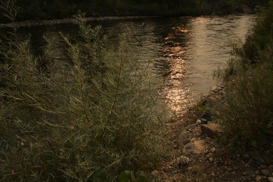 The Poudre River is pictured at sunset as it flows through Fort Collins on September 4th. (Forrest Czarnecki | The Collegian)