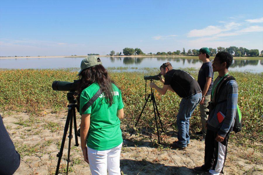 Students scan a flock of gulls for rare species at Barr Lake State Park Photo credit: Casey Setash