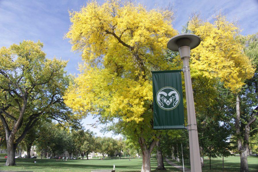 The CSU banner is surrounded by green and gold leaves outside of the Administration Building at The Oval. (Jenny Lee | Collegian)