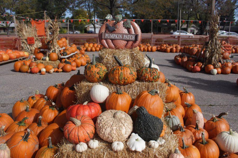 Pumpkin patch off of S College Ave. is getting ready for Halloween and the fall spirit. (Jenny Lee | Collegian)