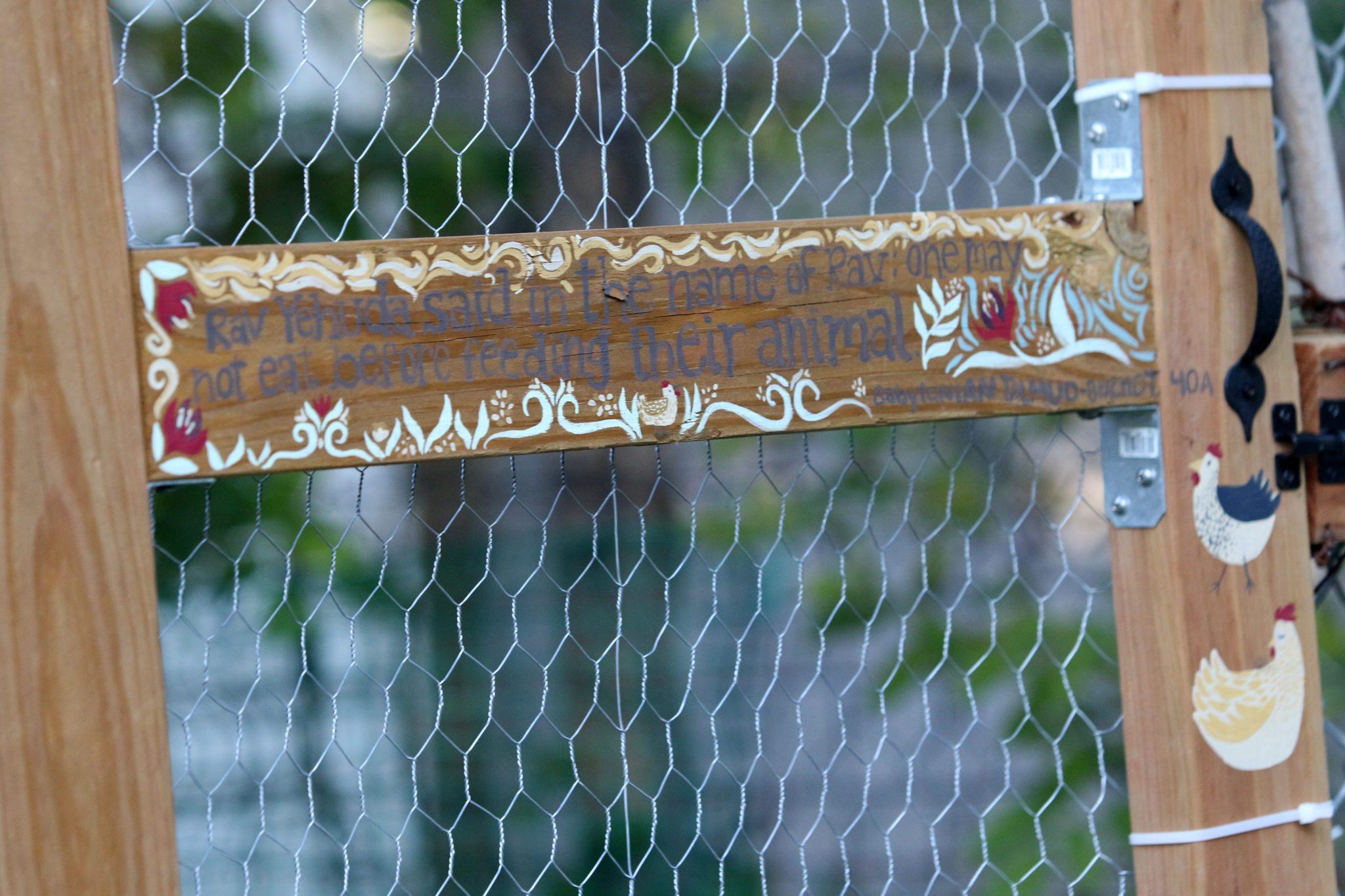 A wood and chain link fence with painted writing on the middle post. There are also paintings of chickens on the side of the fence.