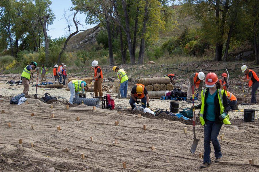 The Ecosystem Science and Sustainability Club, The Watershed club, as well as members of the Boulder community work to restore the environment from the floods near Left Hand Canyon on Saturday. (Jenna Van Lone | Collegian)