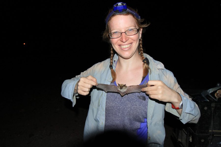 Theresa Laverty holds a bat up at her field site in northwestern Namibia. (Photo Courtesy of Theresa Laverty)