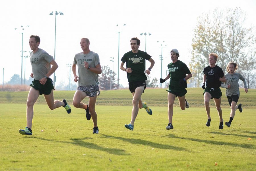 The CSU cross country team practices on Nov. 3, 2017 by the LSC. The men’s team is currently ranked No. 8 in the nation and will be attending regional and national competitions in the coming weeks. (Colin Shepherd | Collegian)