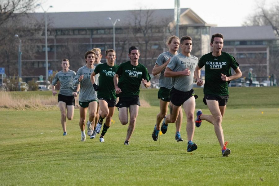 The CSU cross country team practices on Nov. 3, 2017 by the LSC. The men’s team is currently ranked No. 8 in the nation. (Colin Shepherd | Collegian)