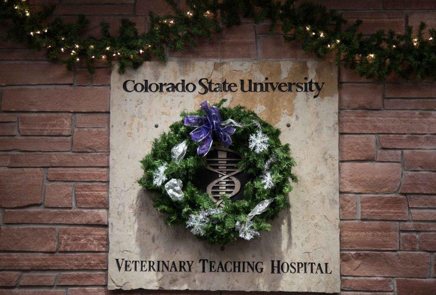 Dr. Felix Duerrs research into the effects of CBDs in treating dogs with arthritis is taking place at the Colorado State University Veterinary Teaching Hospital.(Davis Bonner | Collegian)