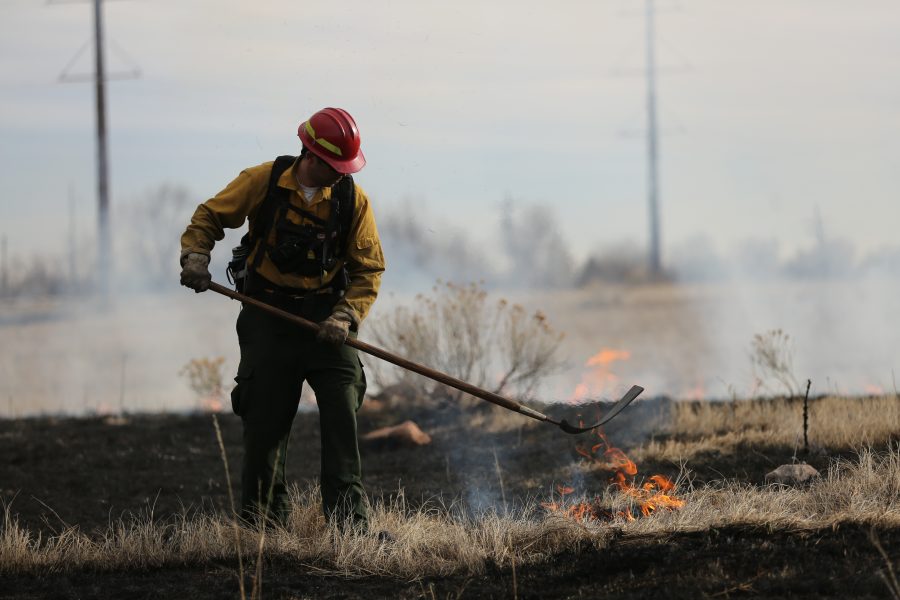 City of Fort Collins Natural Areas Department Resource Management Crew Chief Matt Parker uses a "flapper" to help put out a small flame during a controlled burn at Pineridge Natural Area near Horsetooth Reservoir on Jan. 19, 2017. The controlled burn was used to help increase native plant growth in the area and maintain healthy vegetation levels. (Forrest Czarnecki | The Collegian)
