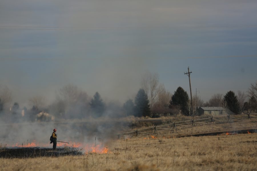 City of Fort Collins Natural Areas Department Resource Management Crew Chief Matt Parker watches the progress of the fire during a controlled burn at Pineridge Natural Area near Horsetooth Reservoir on Jan. 19, 2017. The controlled burn was used to help increase native plant growth in the area and maintain healthy vegetation levels. (Forrest Czarnecki | The Collegian)
