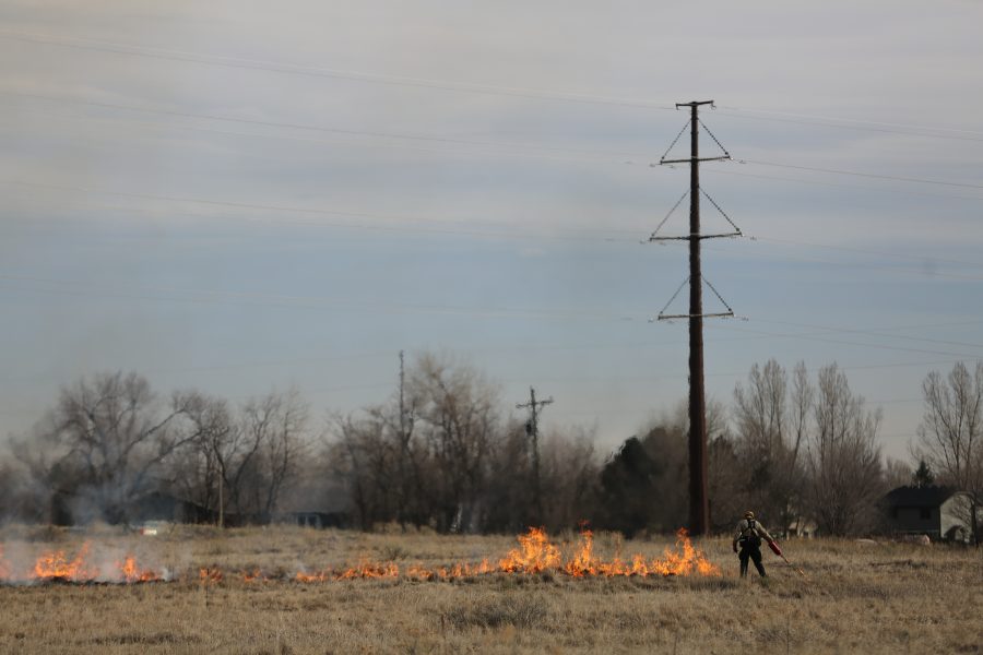 Dave Irwin uses a drip torch to spreads flames at a controlled burn at Pineridge Natural Area near Horsetooth Reservoir on Jan. 19, 2017. The controlled burn was used to help increase native plant growth in the area and maintain healthy vegetation levels. (Forrest Czarnecki | The Collegian)