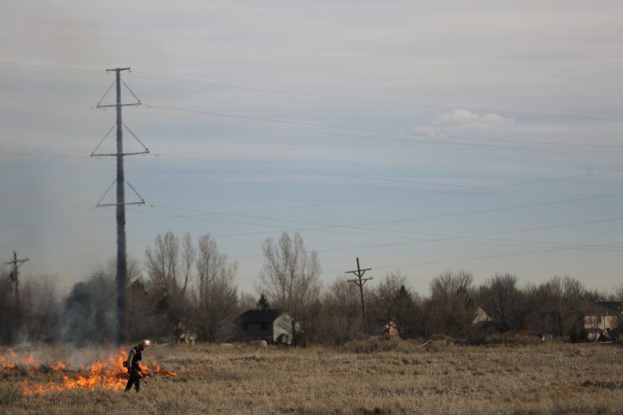 Dave Irwin uses a drip torch to spreads flames at a controlled burn at Pineridge Natural Area near Horsetooth Reservoir on Jan. 19, 2017. The controlled burn was used to help increase native plant growth in the area and maintain healthy vegetation levels. (Forrest Czarnecki | The Collegian)