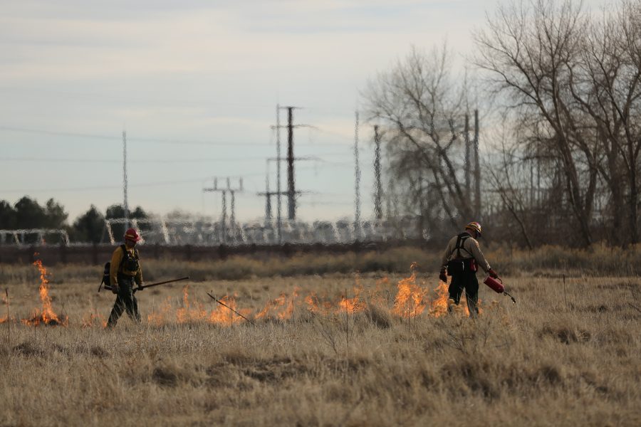 City of Fort Collins Natural Areas Department Resource Management Crew Chief Matt Parker, left, and Dave Irwin, right, spread and monitor flames during controlled burn at Pineridge Natural Area near Horsetooth Reservoir on Jan. 19, 2017. The controlled burn was used to help increase native plant growth in the area and maintain healthy vegetation levels. (Forrest Czarnecki | The Collegian)