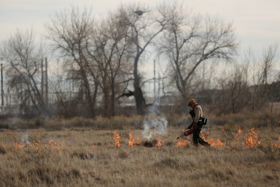 Dave Irwin uses a drip torch to spreads flames at a controlled burn at Pineridge Natural Area near Horsetooth Reservoir on Jan. 19, 2017. The controlled burn was used to help increase native plant growth in the area and maintain healthy vegetation levels. (Forrest Czarnecki | The Collegian)