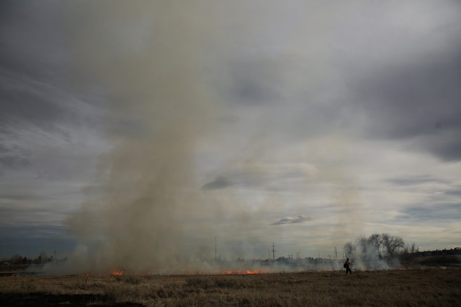 City of Fort Collins Natural Areas Department Resource Management Crew Chief Matt Parker watches the progress of the fire during a controlled burn at Pineridge Natural Area near Horsetooth Reservoir on Jan. 19, 2017. The controlled burn was used to help increase native plant growth in the area and maintain healthy vegetation levels. (Forrest Czarnecki | The Collegian)