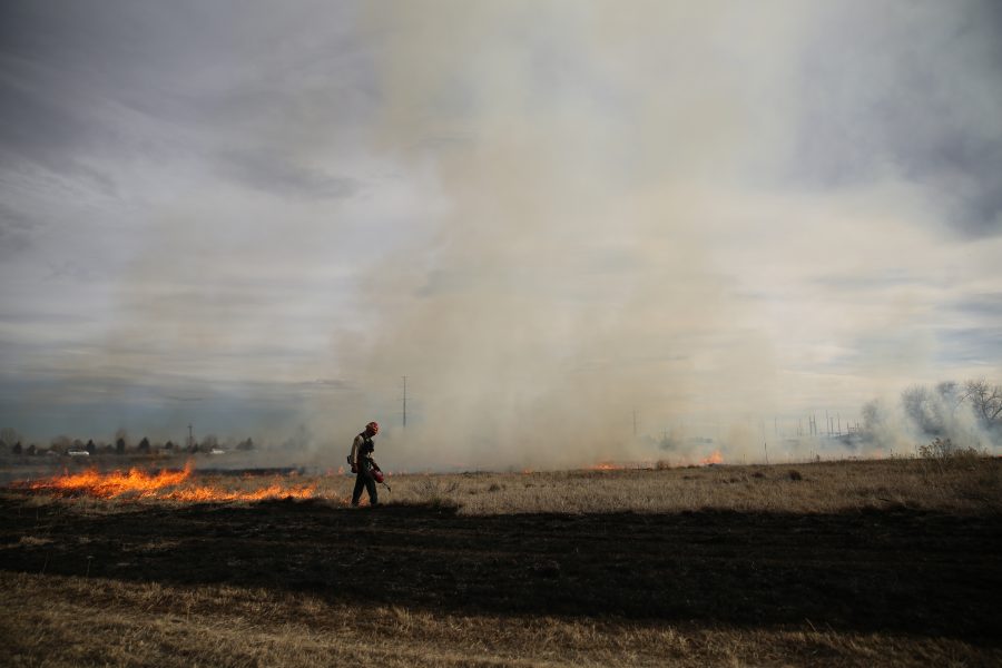 Dave Irwin uses a drip torch to spreads flames at a controlled burn at Pineridge Natural Area near Horsetooth Reservoir on Jan. 19, 2017. The controlled burn was used to help increase native plant growth in the area and maintain healthy vegetation levels. (Forrest Czarnecki | The Collegian)