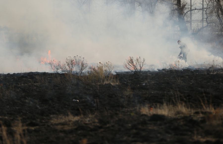 Dave Irwin, pictured through heavy smoke, uses a drip torch to spreads flames at a controlled burn at Pineridge Natural Area near Horsetooth Reservoir on Jan. 19, 2017. The controlled burn was used to help increase native plant growth in the area and maintain healthy vegetation levels. (Forrest Czarnecki | The Collegian)