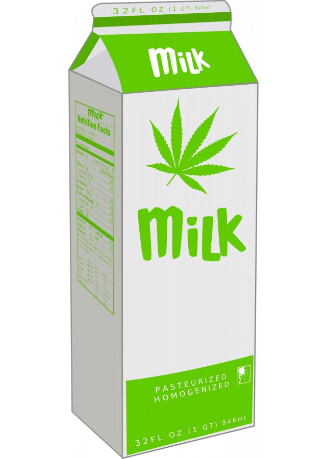 Marijuana Milk (Dylan Simonson | Collegian)
