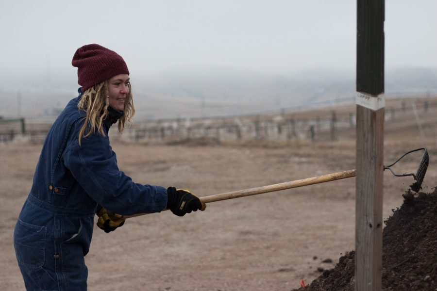 Out at the CSU Foothills Research Campus near Laporte, Maggie Gilman, a CSU compost intern rakes a pile of compost. The piles of compost can reach 131 degrees due to microbes in the soil breaking down organic material (Erica Giesenhagen | Collegian).