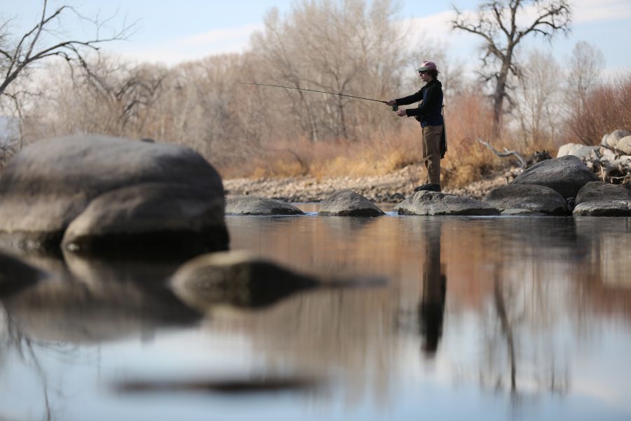 Colorado State University Grant Gallen fly fishes on the Cache la Poudre River in Fort Collins on Feb. 16, 2018.  (Forrest Czarnecki | The Collegian)